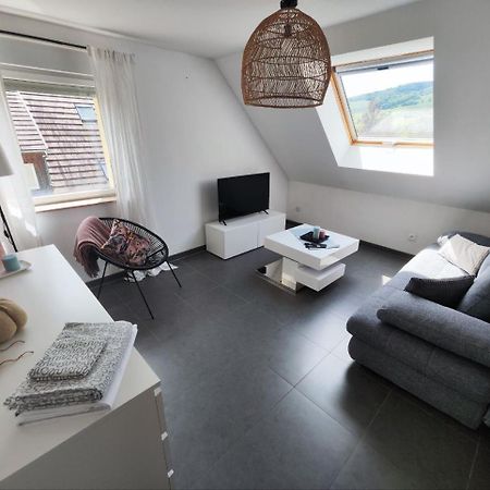 Bel Appartement En Centre Alsace Kintzheim Exteriér fotografie