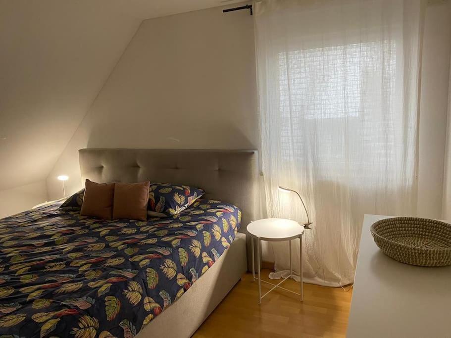 Bel Appartement En Centre Alsace Kintzheim Exteriér fotografie