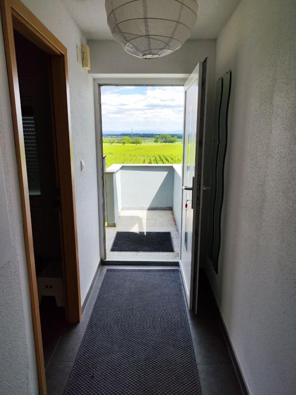 Bel Appartement En Centre Alsace Kintzheim Exteriér fotografie
